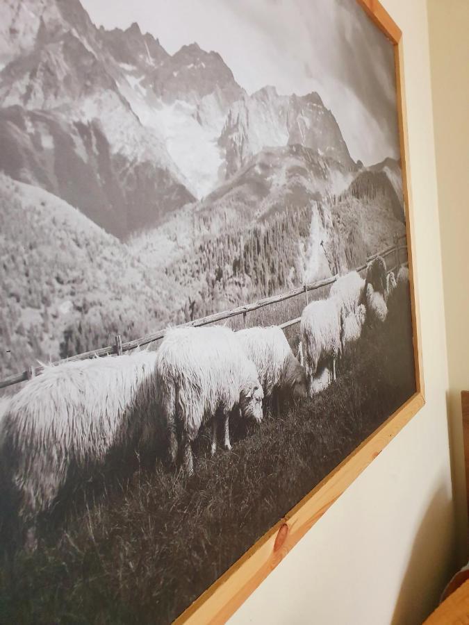 Apartament Izba W Centrum Zakopane Bagian luar foto